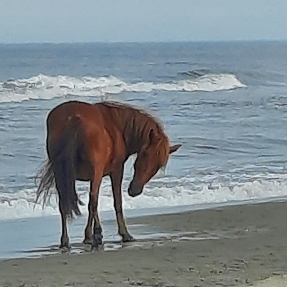 Meet your Posher, Michelle